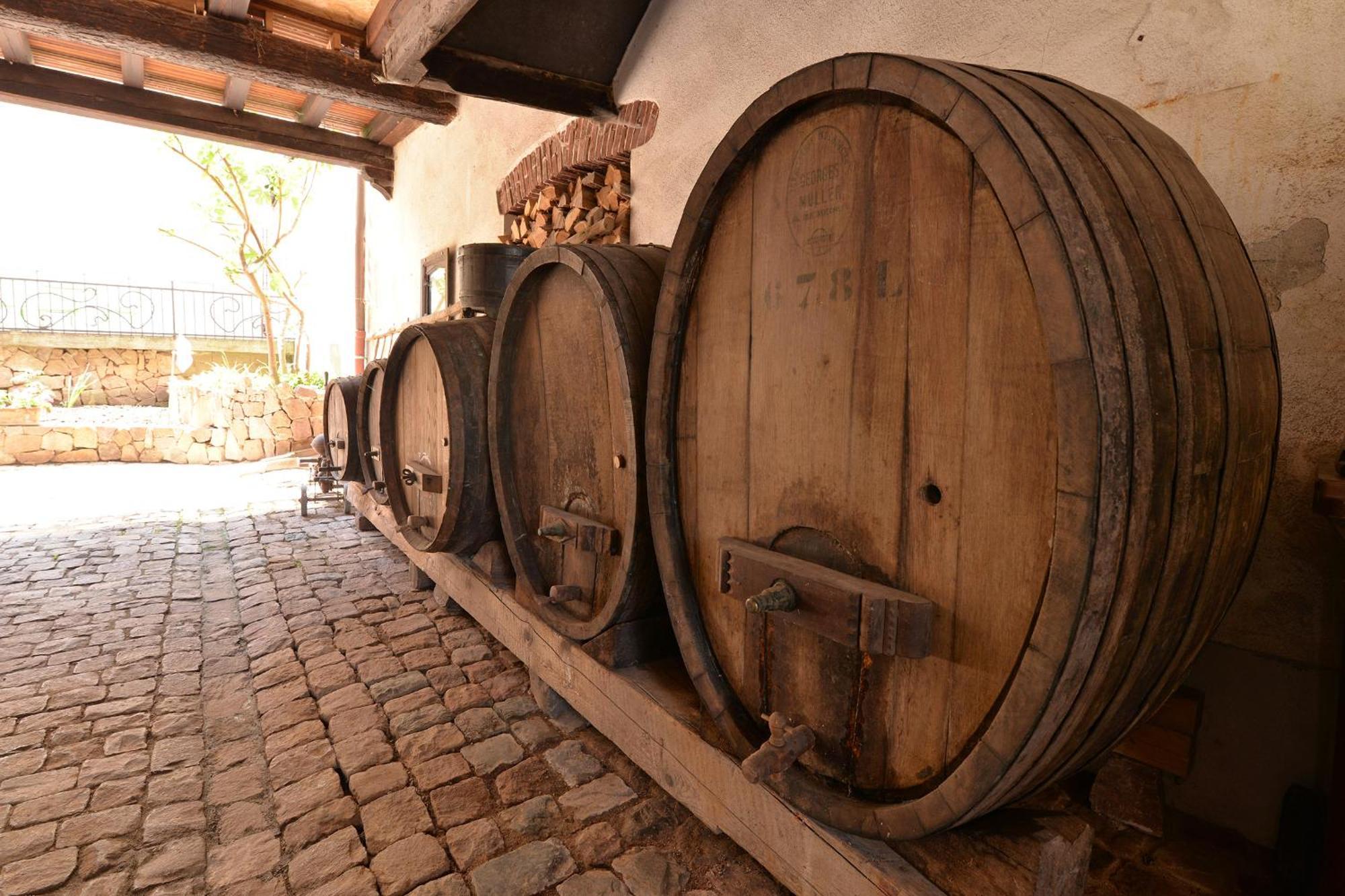 Belle Maison Alsacienne De 1610 Hébergement de vacances Gueberschwihr